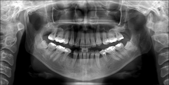 dental_2.jpg