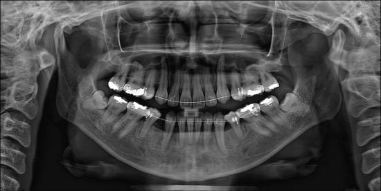 dental_3.jpg
