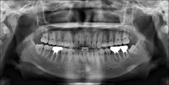 dental_5.jpg